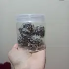 كرات بروتين صحية للنادي