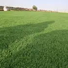 ثيل سي 2000طبيعي وصافي وطبيعي الموقع الخرج