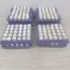 بيض بلدي