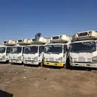 ايسوز دينا 2022