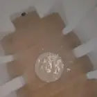 شركة تنظيف خزانات مسابح سجاد شقق فلل كنب مجالس