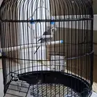 وادي حلي جنوب القنفذه