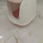 بيت قطط