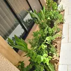 تنسيق حدائق