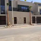 نخل واشنطني وثيل