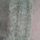 برسيم مستودع طبرجل مخلوط شد طيب وزنه ثقيل