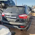 صيني