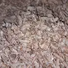 مستلزمات الهامستر