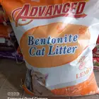 يوجد جميع مستلزمات الطيور والحيوانات واكل الكلاب والقطط