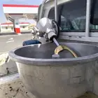 عجانة سوري