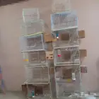 اقفاص طيور للبيع نظيفه