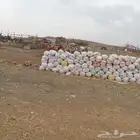 سماد غنم للبيع نظيف وصافي جدا