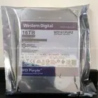 H.D.D Purple 2 4 6 8 10 12 14 16 TB