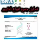 اقوى المختبرات الأوروبية المعتمده لتحليل DNA لطيور