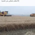 حصادة 8060 للبيع