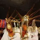 اكسسوارات نسائي مستعملة مع 2 حامل زجاج على شكل يد
