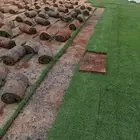 ثيل سئ 2000صافي وطبيعي الموقع الخرج