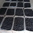 تمر عجوه للبيع انتاج هذه السنه