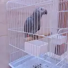 فرخ كاسكو