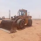 شيول للايجار