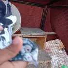 حمام