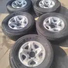جنوت جيب شاص
