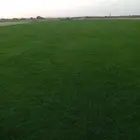 ثيل سئ 2000صافي وطبيعي الموقع الخرج