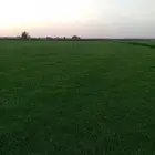 ثيل سئ 2000صافي وطبيعي الموقع الخرج