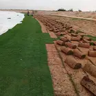 ثيل سئ 2000صافي وطبيعي الموقع الخرج