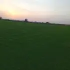 ثيل سئ 2000صافي وطبيعي الموقع الخرج