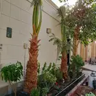تنسيق حدائق تصميمات حديثة