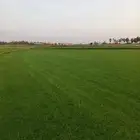 ثيل سئ 2000صافي وطبيعي الموقع الخرج