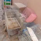 اقفاص طيور زينه