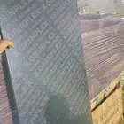 ايجار وبيع اخشاب وجكات وبليوت بجميع انوعه