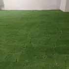 ثيل سي 2000 صافي وطبيعي جراده قولي مزرعه الخارج