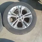 جنوط