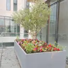 اخر اعمالنا من احواض الفيبر جلاس