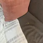 مجلس ركنيه رمادى راقى وبحاله جيده