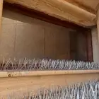 طرد طيور وقطط