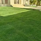 ثيل طبيعي سي 2000 فرنسي
