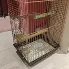 قفص بغبغان كبير