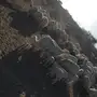 غنم حريه درجة أولى  صنف للبيع