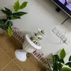 نافورة منزلية