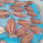 لخم مكلاوي بضاعة كفو