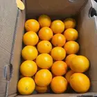 استثمار متميز فى مشروع جيد