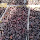 يوجد لدينا عمال صرام ومنقي بلكرتون