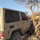جيب ربع ينبع النخل