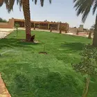 تيل طبيعي مزرعه نجيله طبيعيه