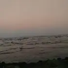 بيع شعر بسعر رمزي البيت ب 15 و 4 ابيات ب 50