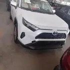 راف فور 2024 LE هايبرد